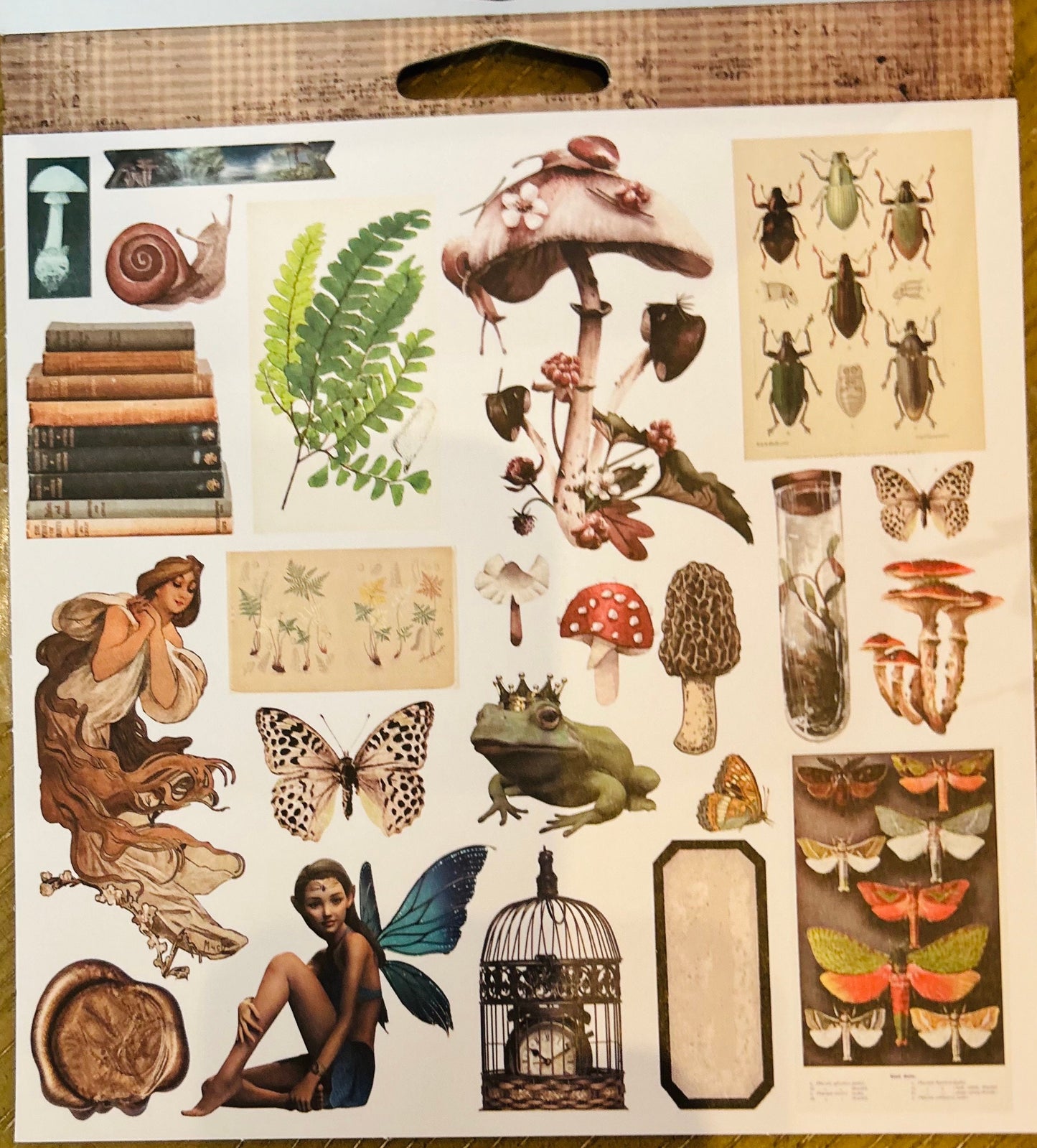 Nature Academia Collection Paper Pad | 6x6 Scrapbook Paper, 26 Sheets | Prima, Inc.