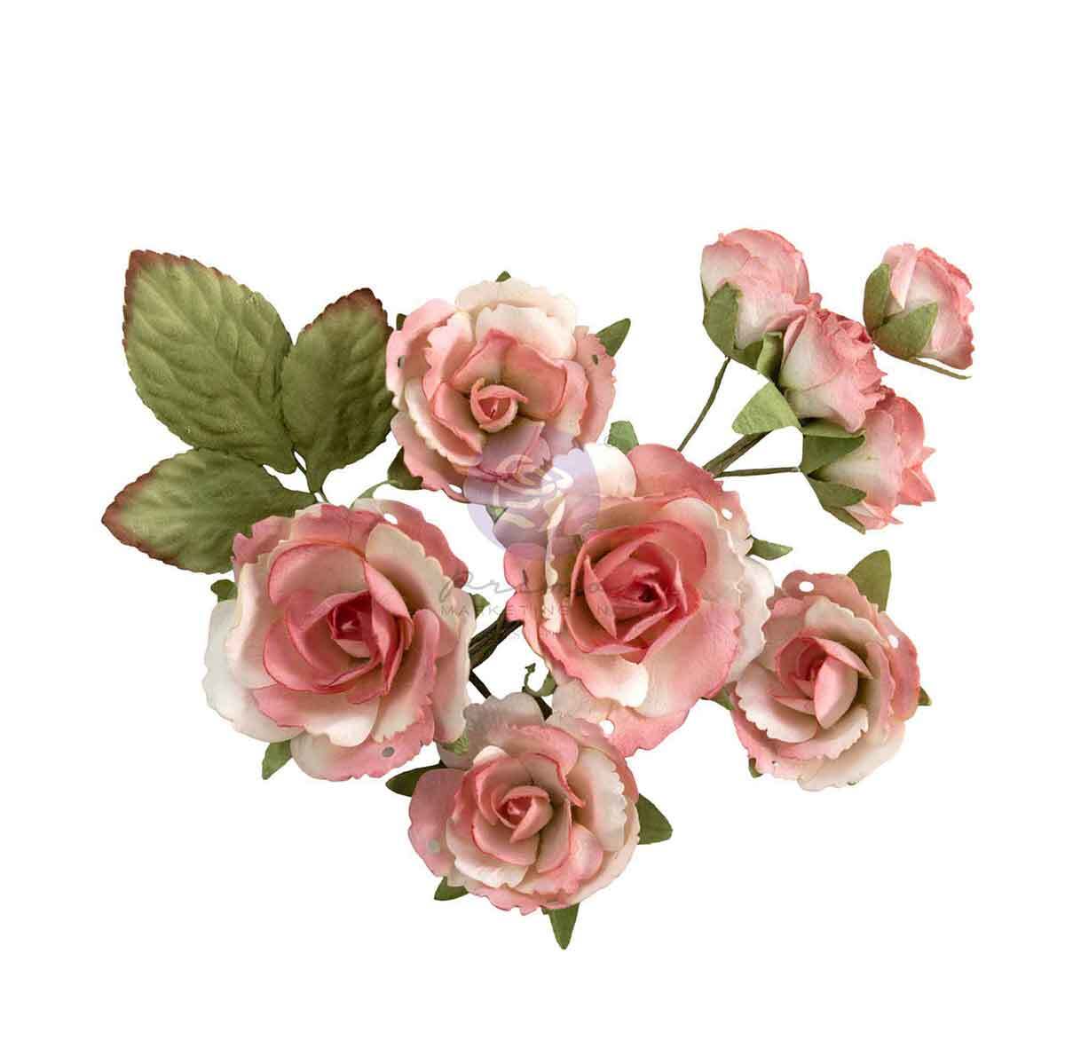 Homegrown Collection Flowers - Garden Rose Blush, 10 pcs | Three Girls Tale | Prima Marketing Inc