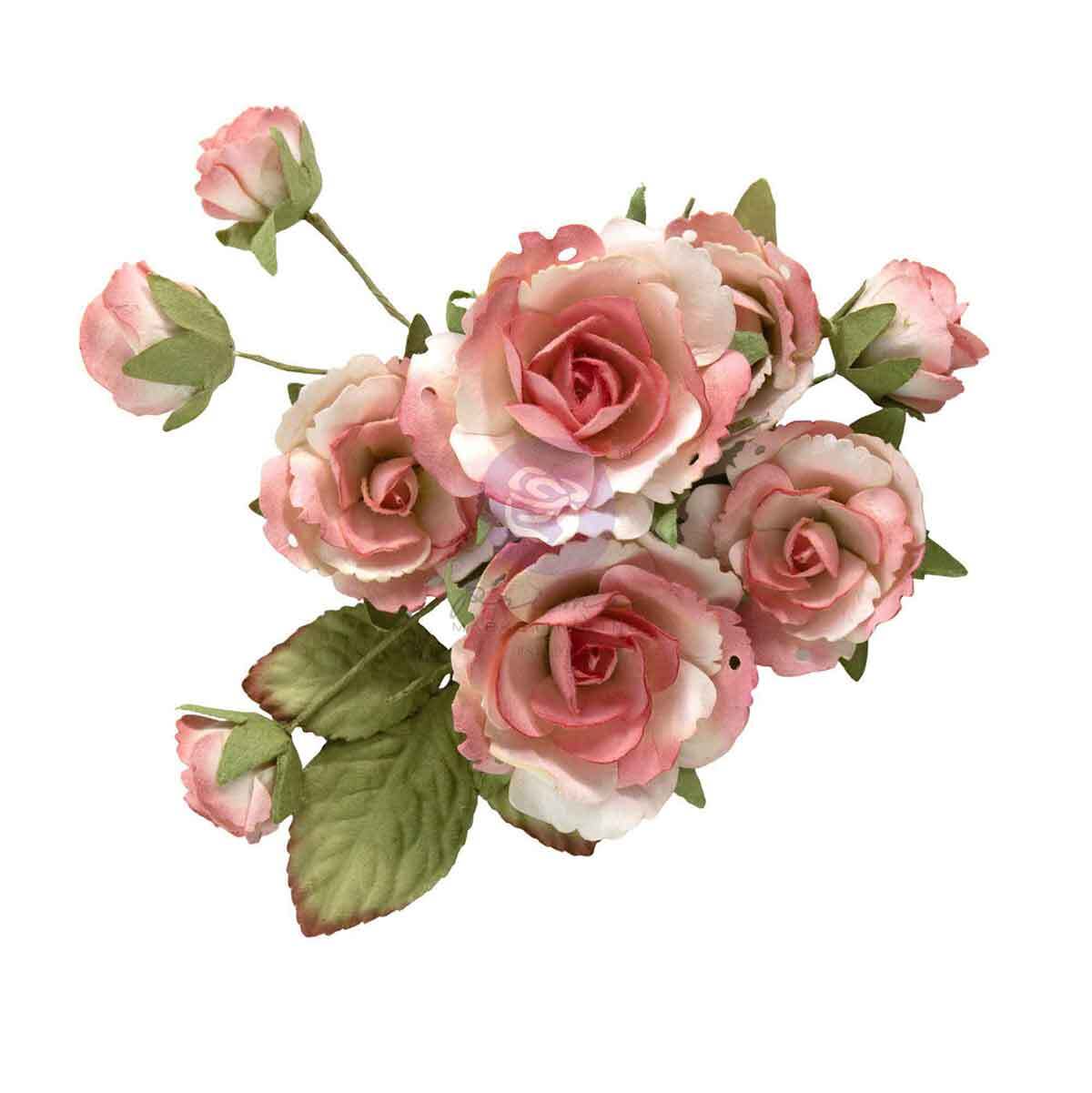Homegrown Collection Flowers - Garden Rose Blush, 10 pcs | Three Girls Tale | Prima Marketing Inc