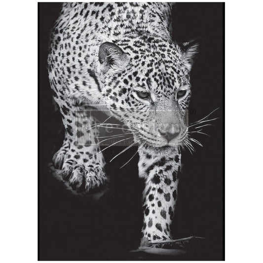 A1 Decoupage Fiber - Feline Gaze | 1 sheet, 23.4”x33.1”| Monochrome | Redesign with Prima
