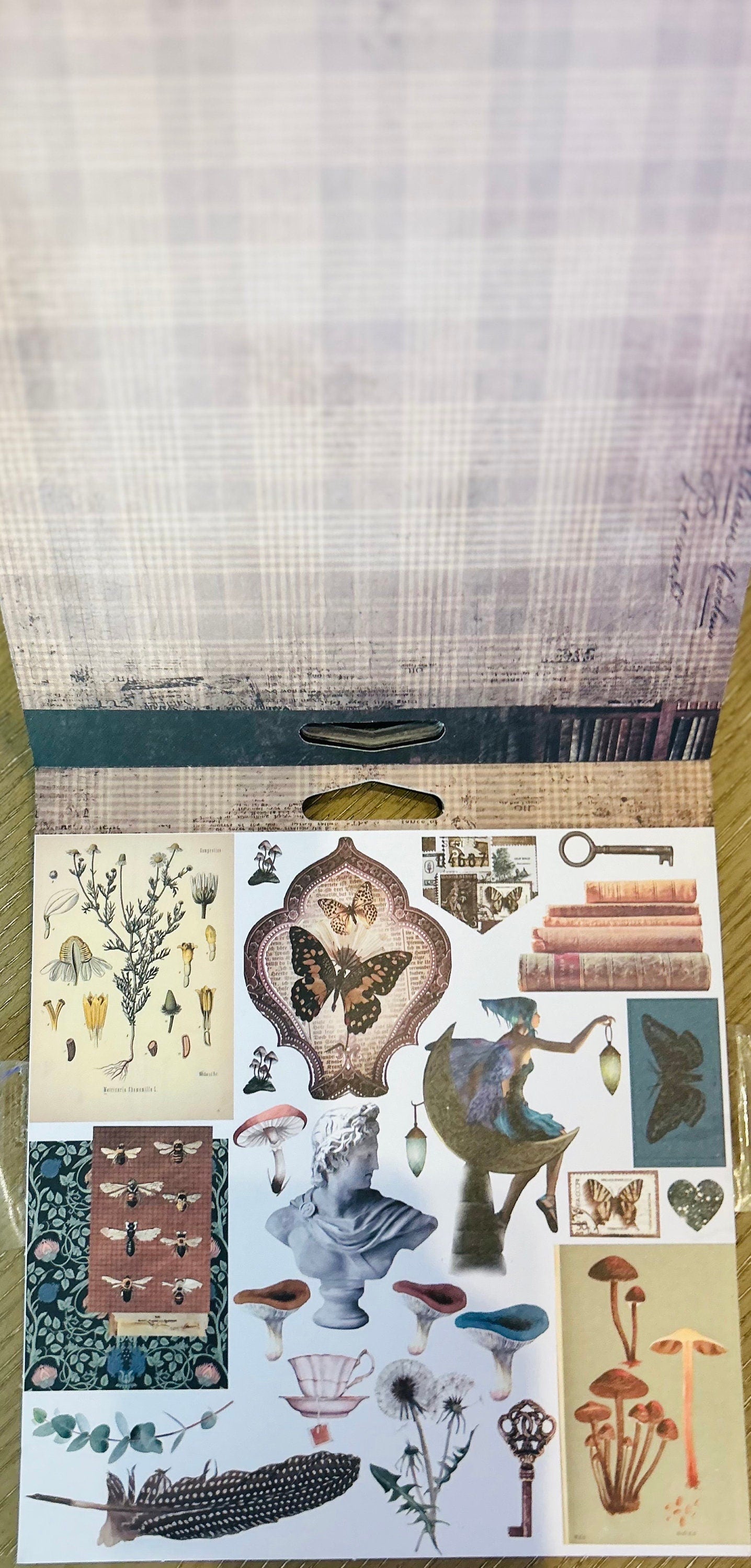 Nature Academia Collection Paper Pad | 6x6 Scrapbook Paper, 26 Sheets | Prima, Inc.
