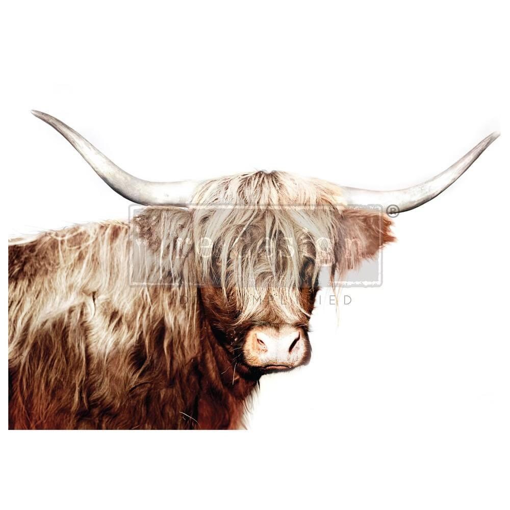 A1 Decoupage Fiber - Majestic Moo | 1 pc, 23.4”x33.1” | Highland Cow | Redesign with Prima
