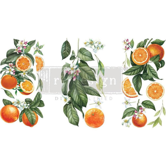 Mini Decor Transfers® - Citrus Slice | 6"x12"-3 sheets | Redesign with Prima