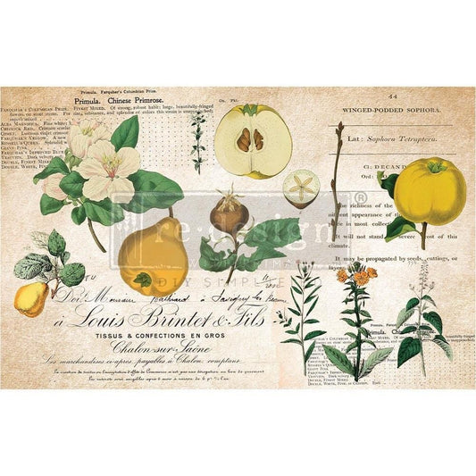 Decoupage Tissue Paper - Primrose | 19.5x30” | Redesign with Prima