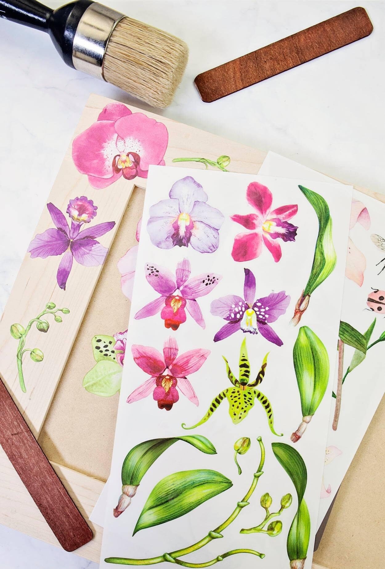 Mini Decor Transfers® - Sunset Tropics | 3 sheets, 6”x12” | Redesign with Prima