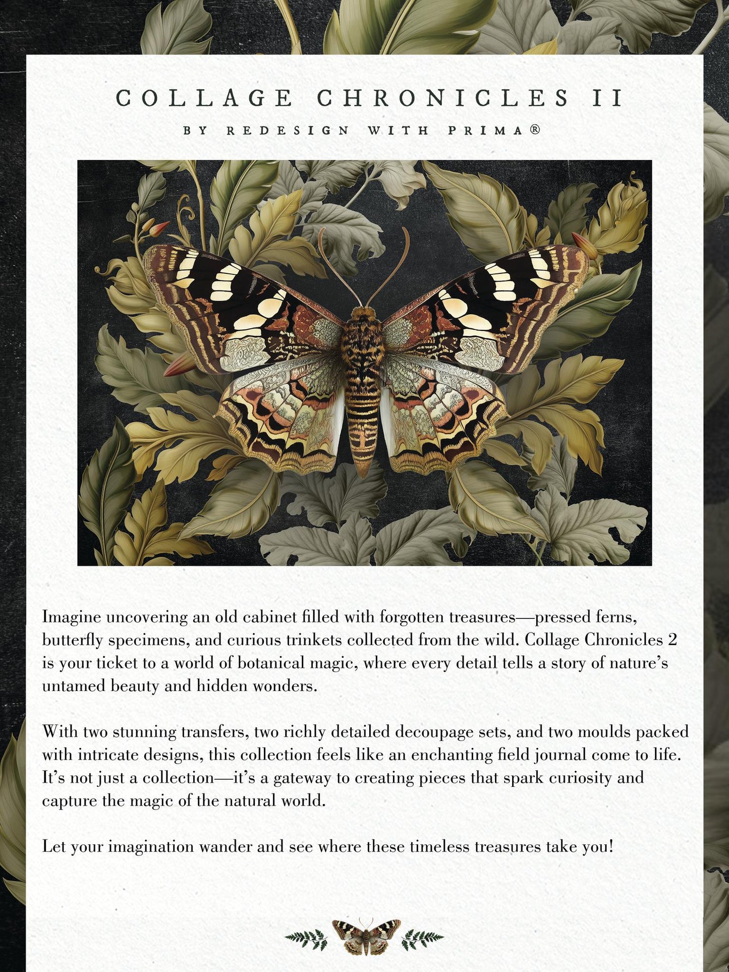 Mini Decor Transfers® - Botanical Archives | 3 pc, 6”x12” | Redesign with Prima
