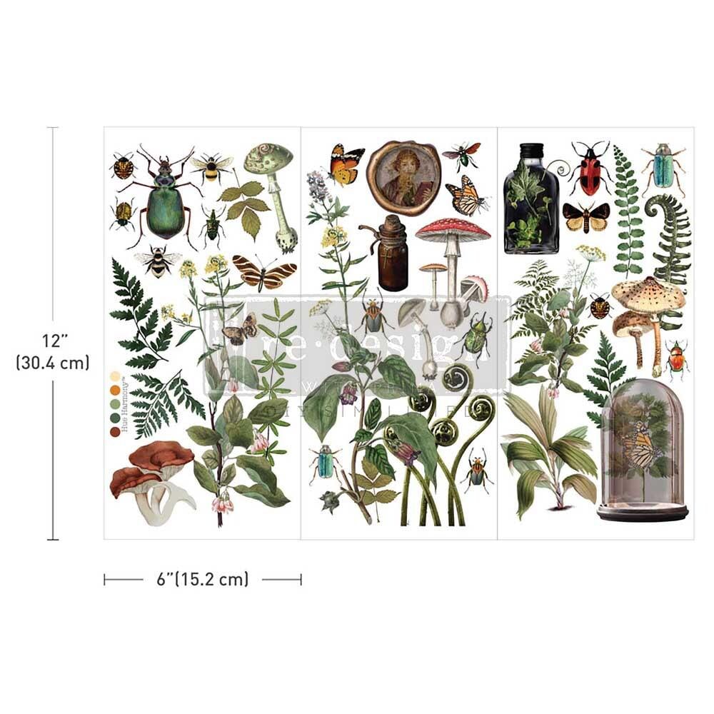 Mini Decor Transfers® - Botanical Archives | 3 pc, 6”x12” | Redesign with Prima