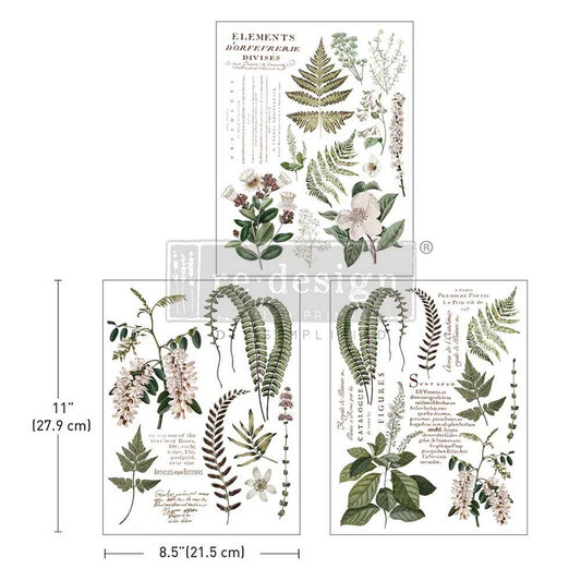 Middy Decor Transfers® - Greenery Grace  | 3 sheets, 8.5 x 11” | Redesign with Prima
