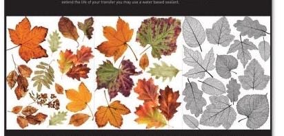 Middy Decor Transfers® - Crunchy Leaves Forever | 3 sheets, 8.5”x11” | Redesign with Prima