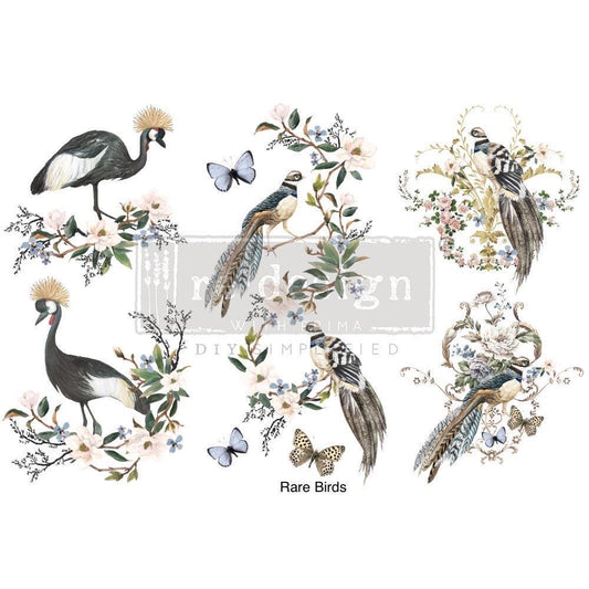 Mini Decor Transfers® - Rare Birds | 6"x12"-3 sheets | Redesign with Prima