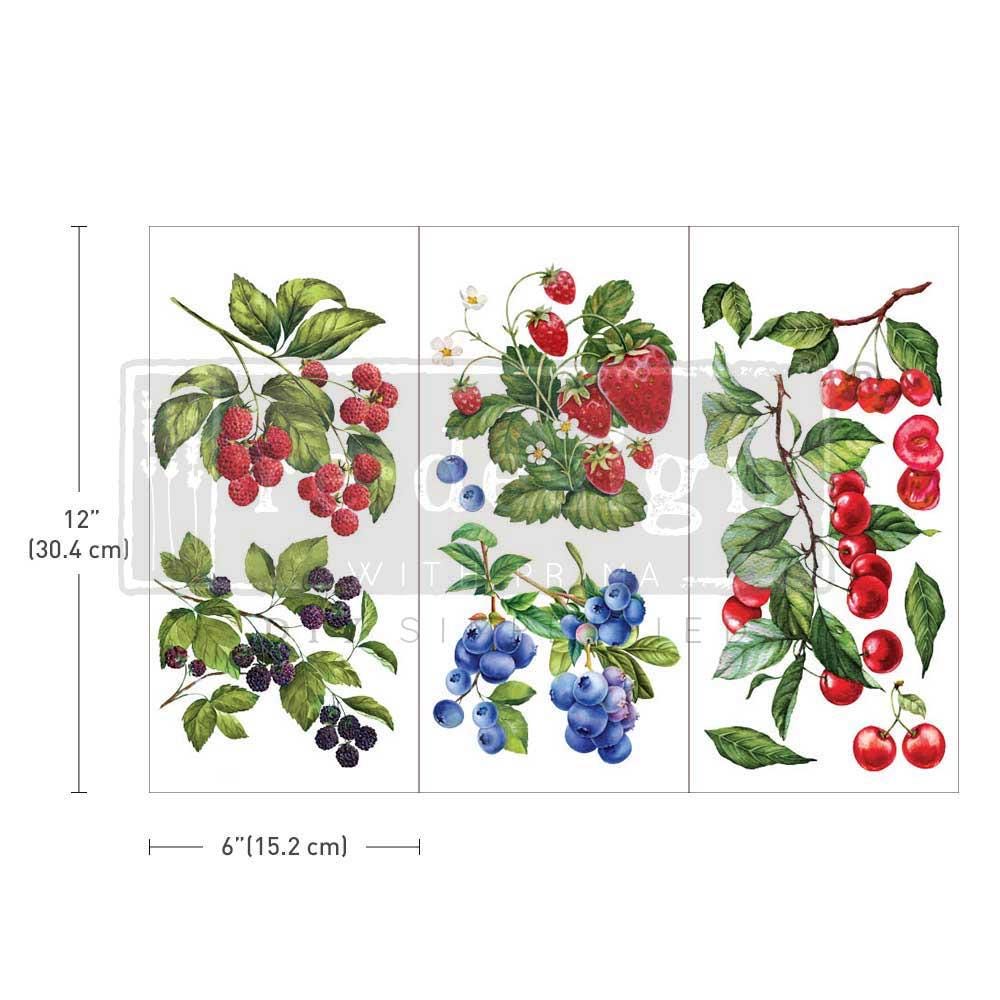 Mini Decor Transfers® - Sweet Berries | 6"x12"| Redesign with Prima