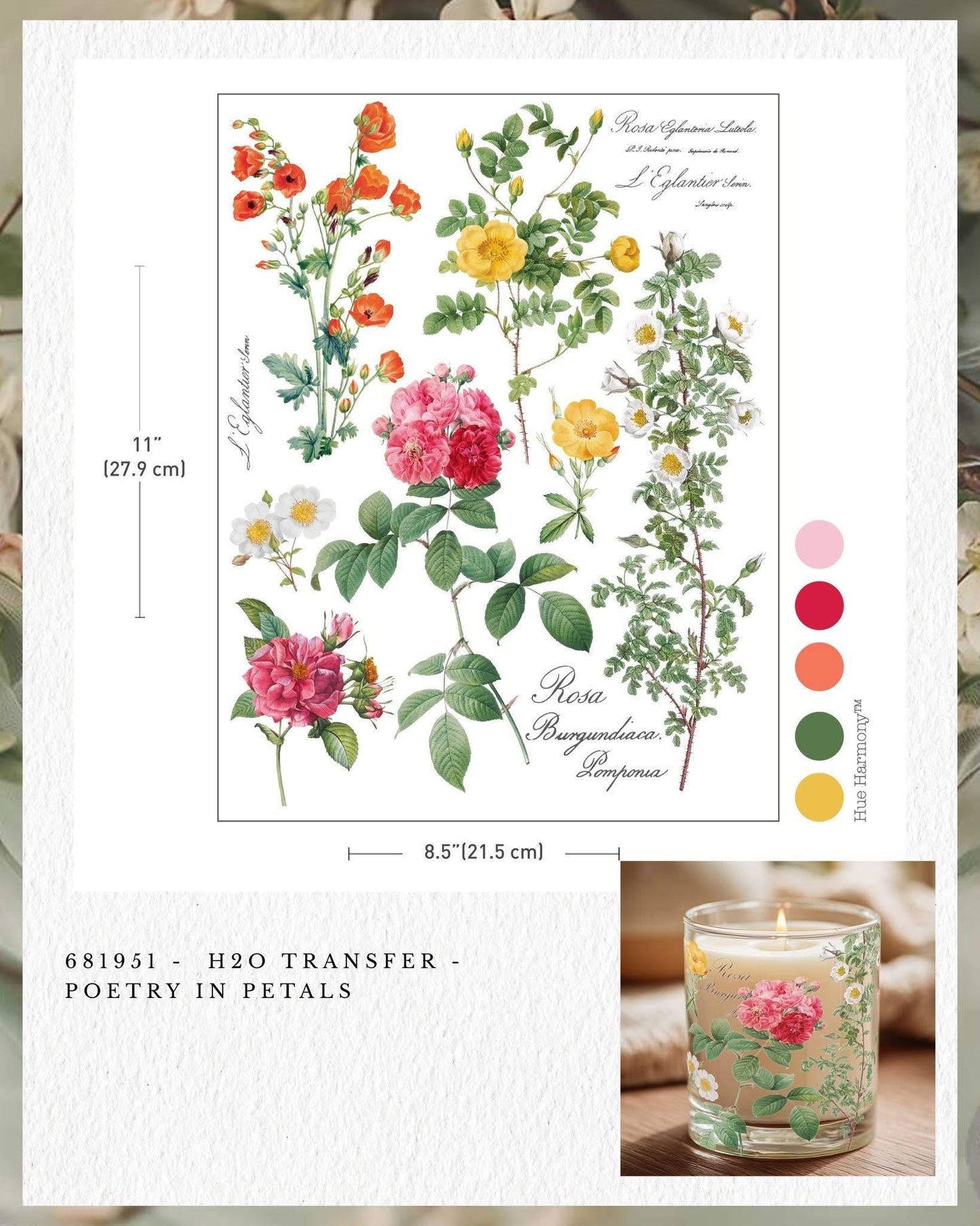 H2O Transfers - Poetry in Petals | 8.5"x11" | Redesign with Prima