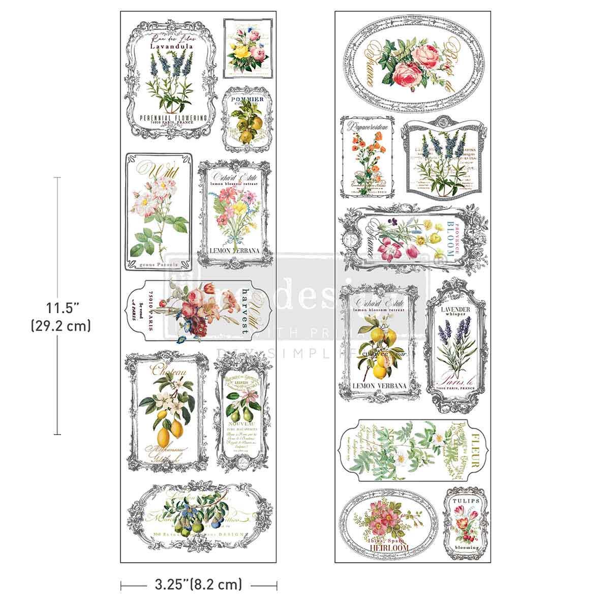 Luxe Transfers - Fleur de Frame  | 3.25"x11.5"-2 sheets | Botanical Labels | Redesign with Prima