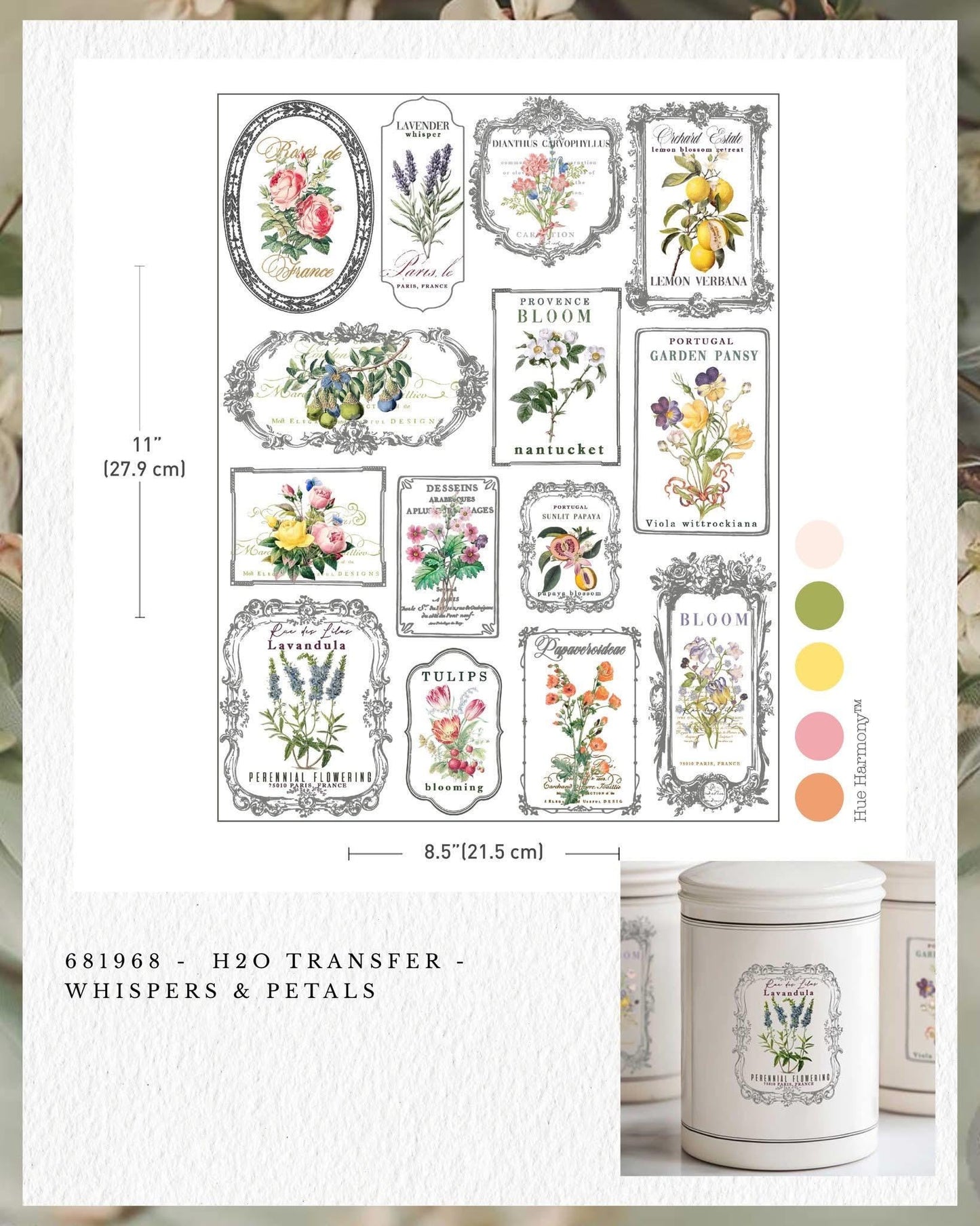 H2O Transfers - Whispers and Petals  | 8.5"x11" | Redesign with Prima