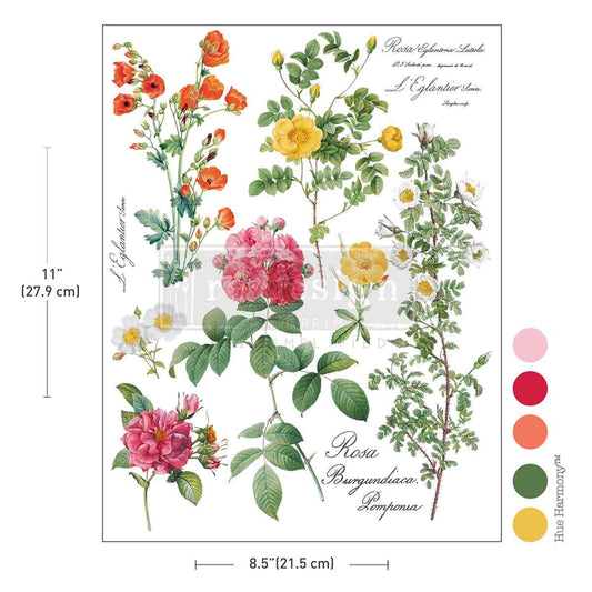 H2O Transfers - Poetry in Petals | 8.5"x11" | Redesign with Prima
