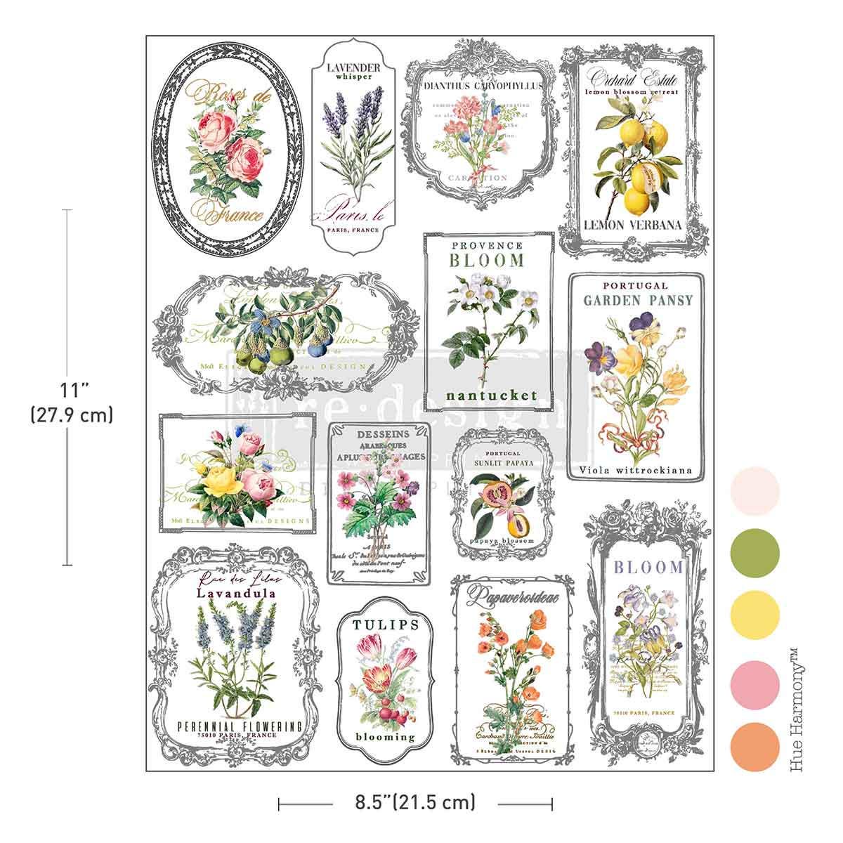 H2O Transfers - Whispers and Petals  | 8.5"x11" | Redesign with Prima